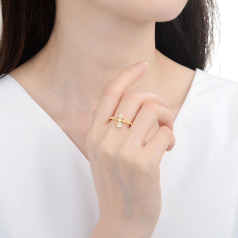 Anillo De Estrella Y Puntos De Luz