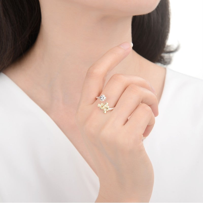 Anillo de Mariquita