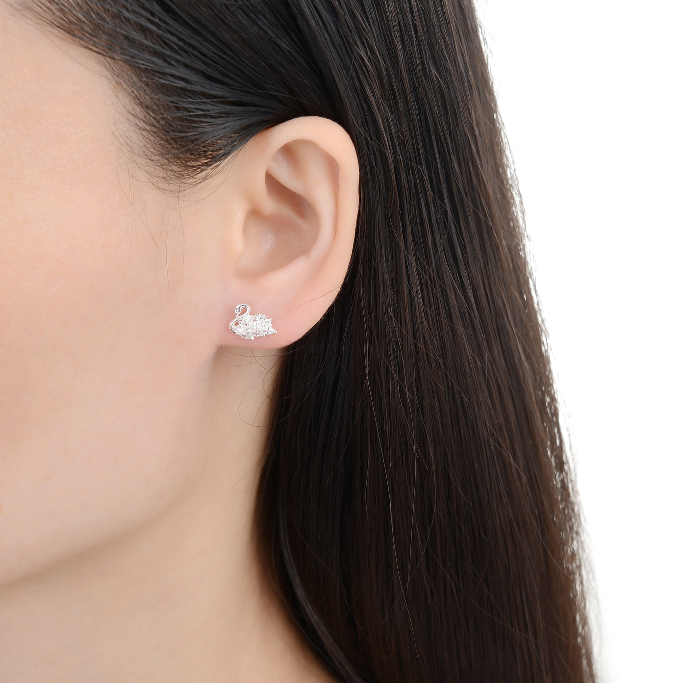 Aretes de Cisne