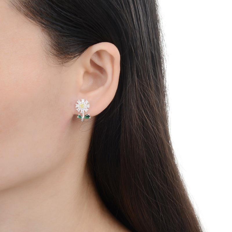 Aretes de Margarita
