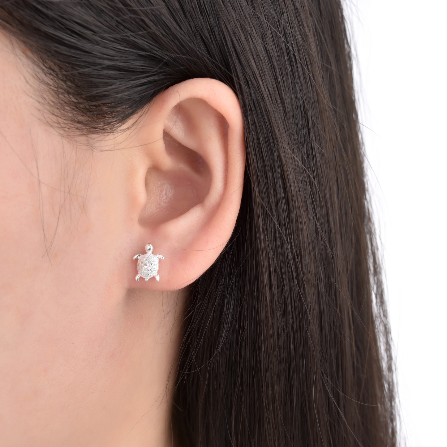Aretes de Tortuga