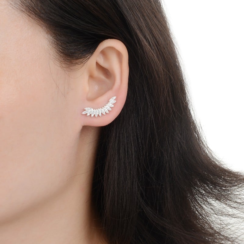 Trepadores De Espiga