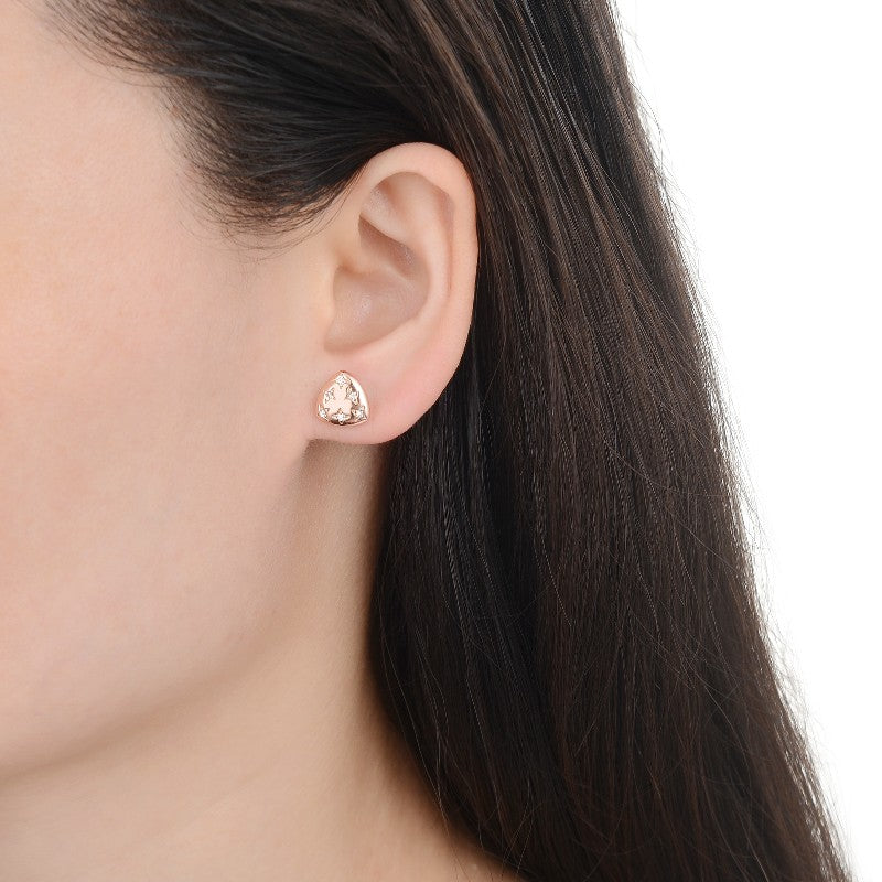 Aretes de Estrellas