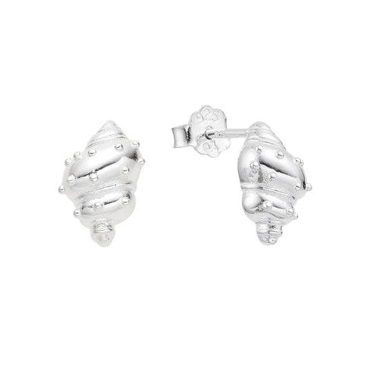 Aretes de Concha